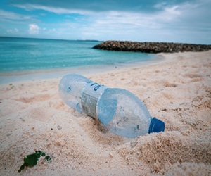 Wasserspender_300x250